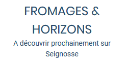 site en ligne